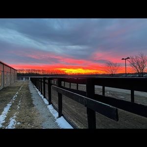 Meet your Posher, Kellyn